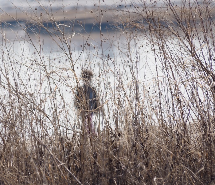 Misty figure on a misty day