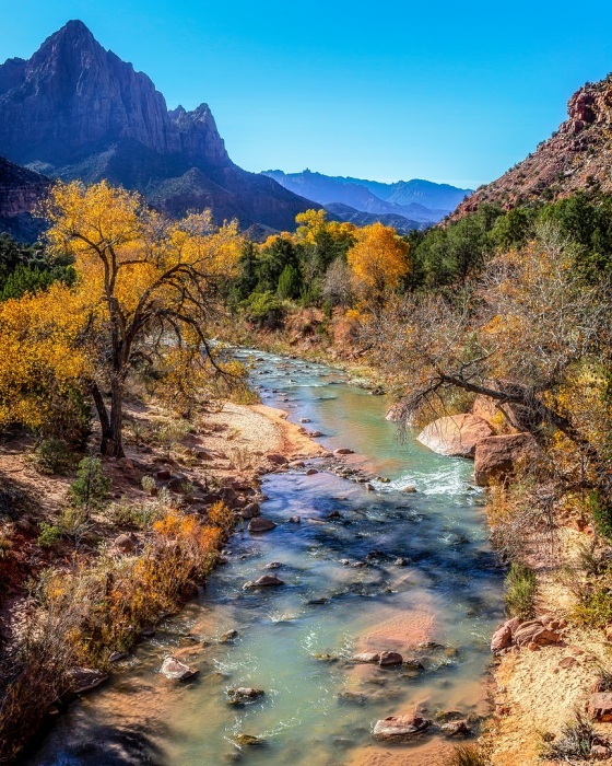 Fall Morning in Zion