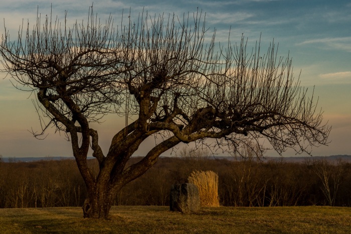 Holcomb Hill