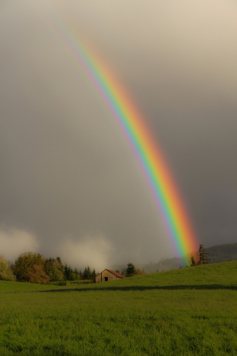 End of the Rainbow