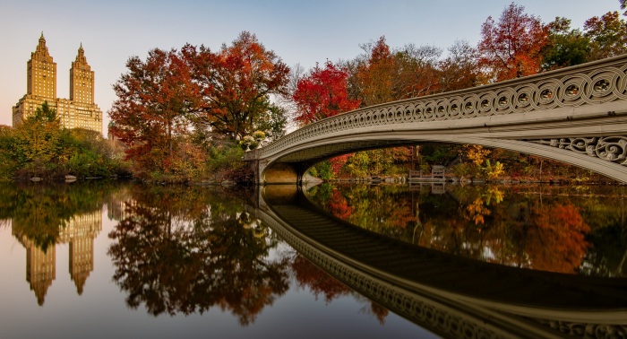 Bow Bridge Reflections
