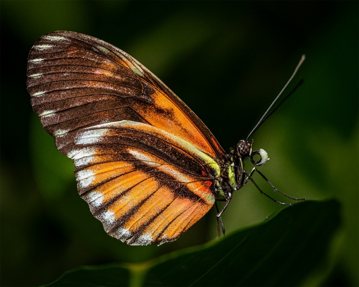 Resting In The Light
