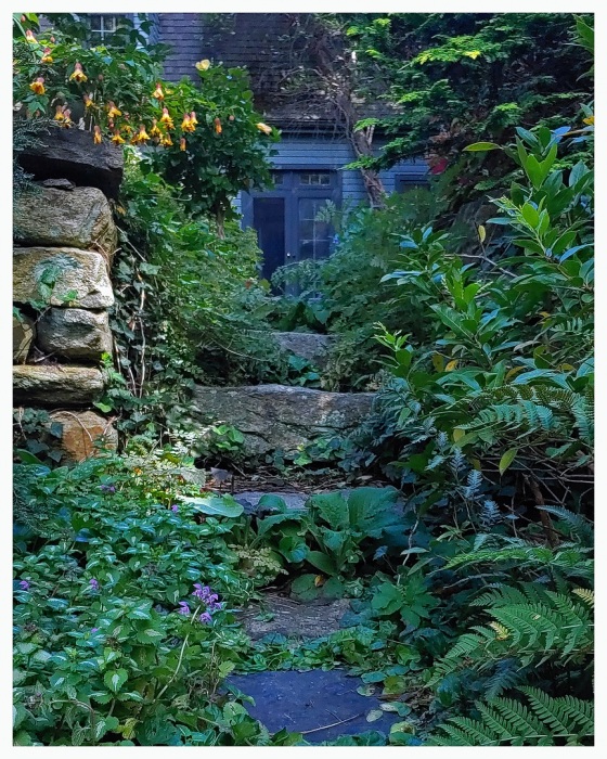 All Paths Lead Home