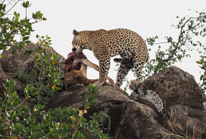 Wow, Mom, You're So Strong!!