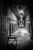 The long Walk