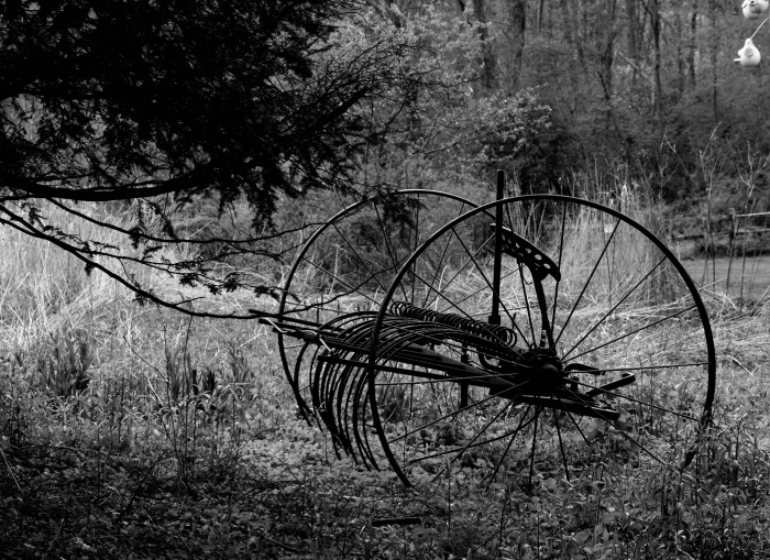 Big old wheels