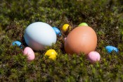 Easter EGGS