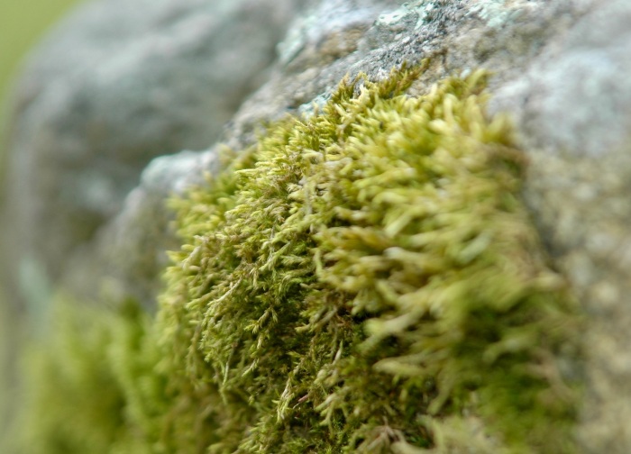 On The Rocks
